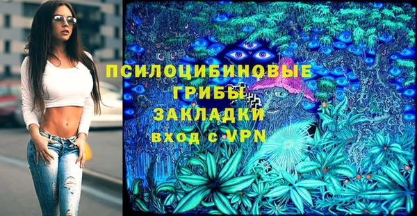 амф Медногорск