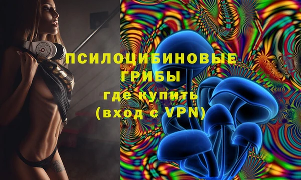 амф Медногорск