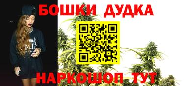 мдпв Гусь-Хрустальный