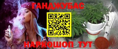 прущие крисы Гусев